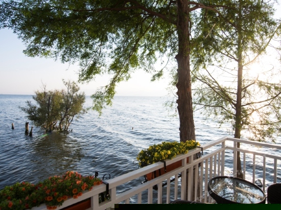 露台海景大床房