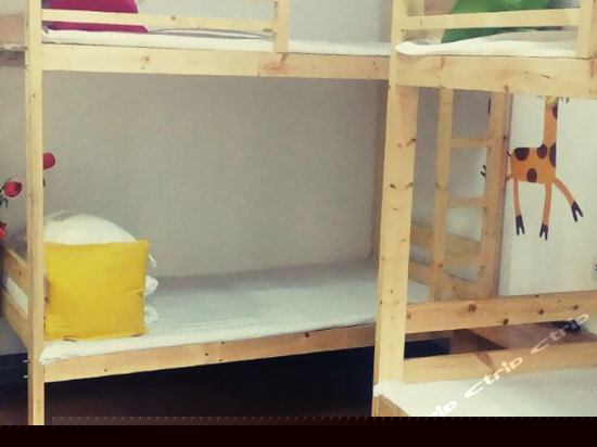 驴友房（床位房）