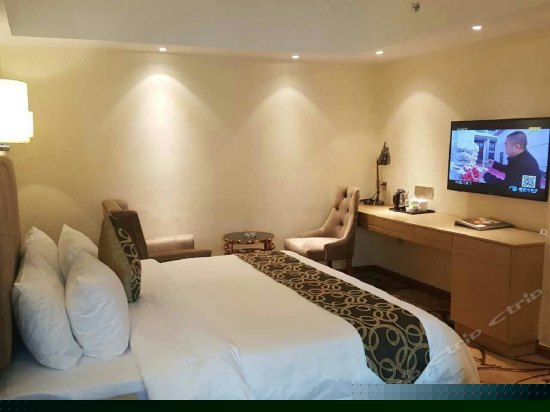 精品高级单人房