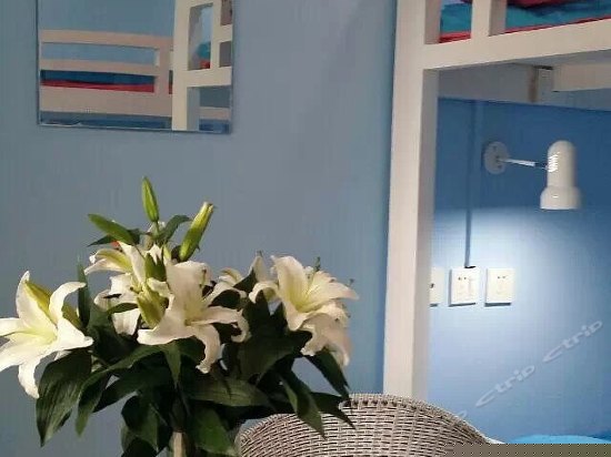 彩色4人间（床位房）