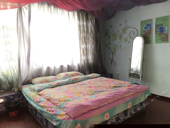 蓝莲花主题大床房