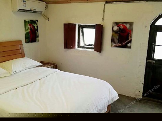 202(带露台大床房/公卫)