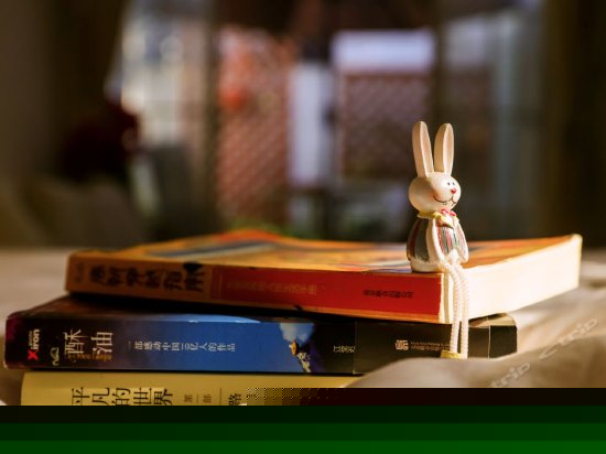 樱花飞扬（带两个私享花园）