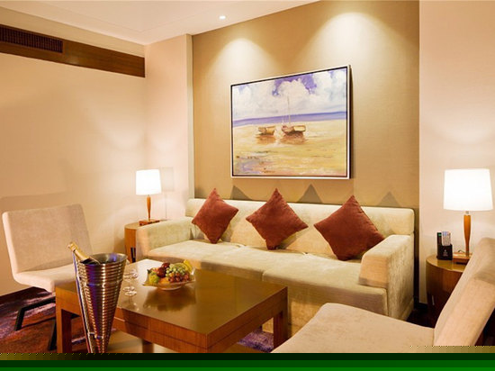 法兰克福高级套房