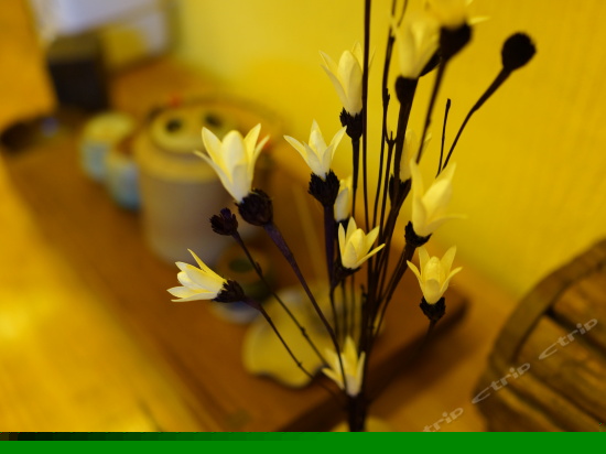 加都豪华家庭房