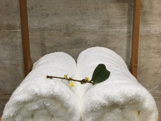 溪畔景观房虚度