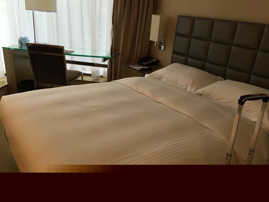 酒店房型