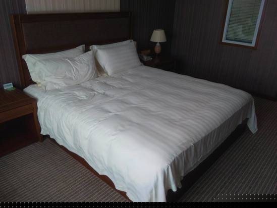 酒店房型