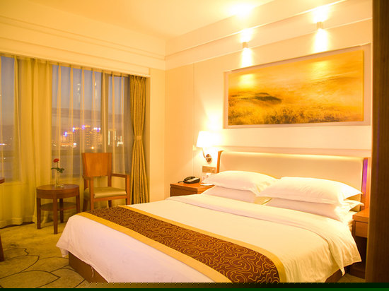 商务单间(内宾)