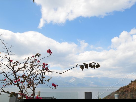 逸海-海景大床房