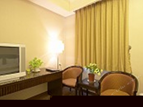 豪华商务双人房