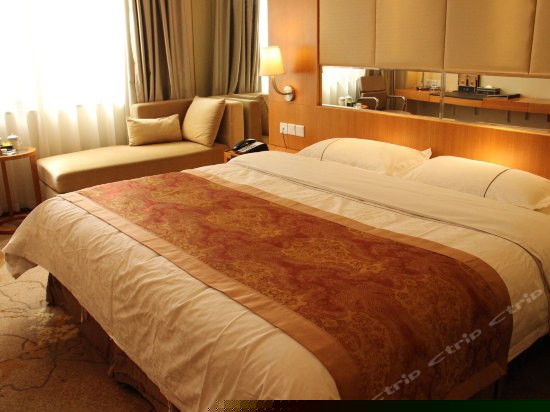 普通单人欧式园景大床房