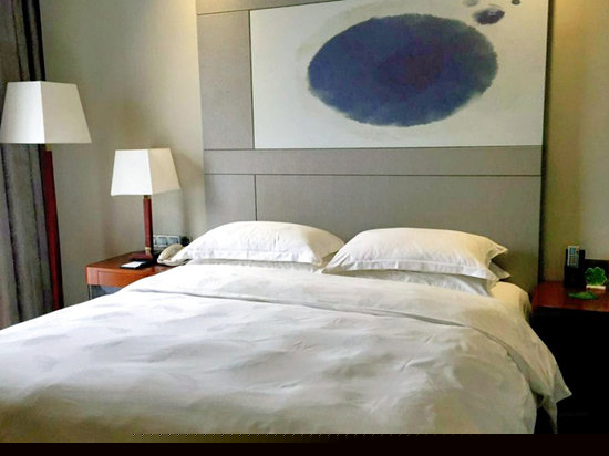 慕尼黑高级大床房