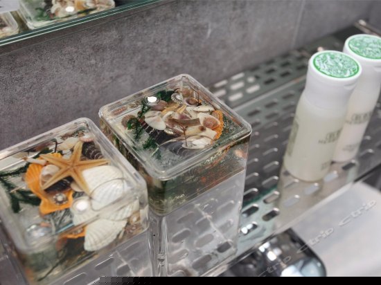 豪华阳台露台房