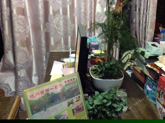 其他