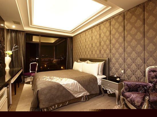 VIP层峰行政商务房