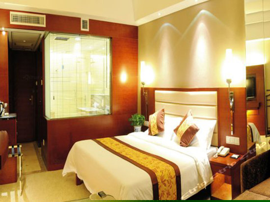 豪华行政单人间