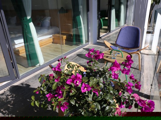 双廊假日舒适双人间