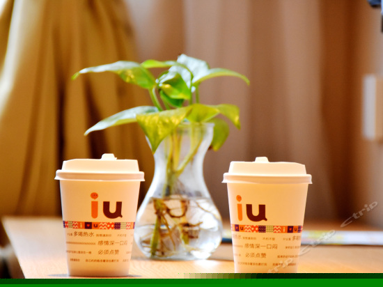 iu Bigger(B格双床房)