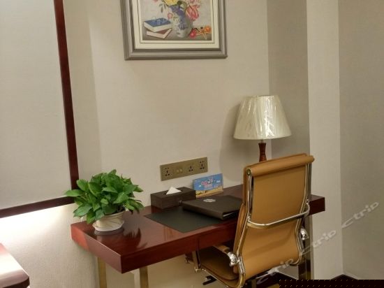 标准双床房（无窗）