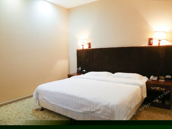 精致单间（无窗）