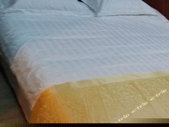 会展中心温馨套房