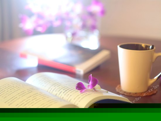 明月轩海景套房