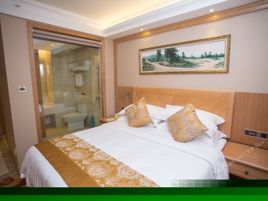 高级单人房(无窗)