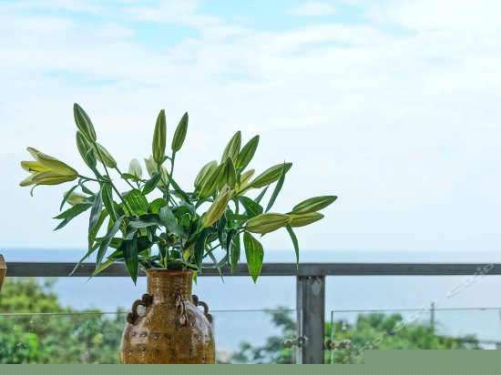 海云天海景露台大床房
