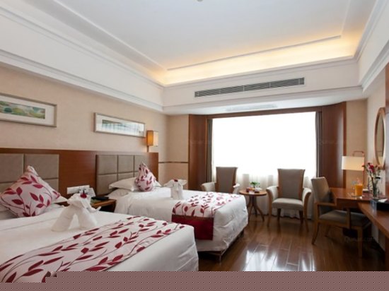 行政客房双床房