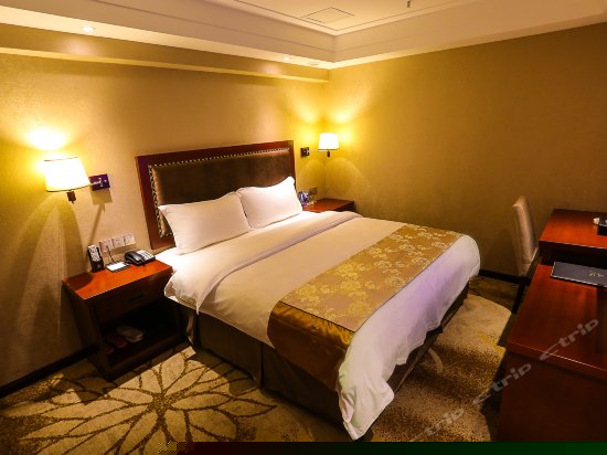 特价单人房(无窗)