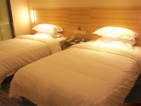标准双床房