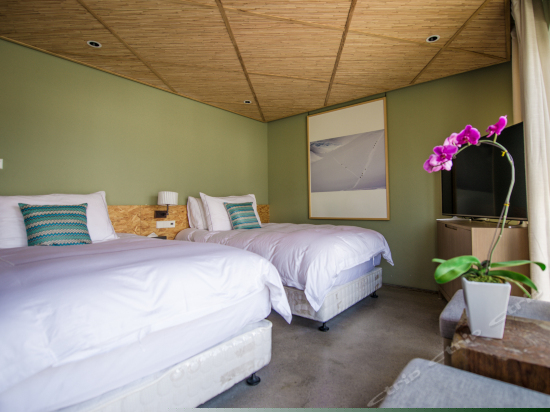 舒适山景双床房