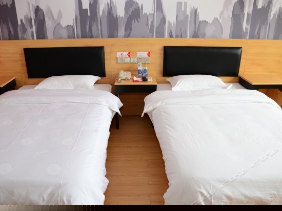 高级双床间