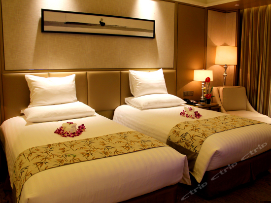 豪华市景双床房