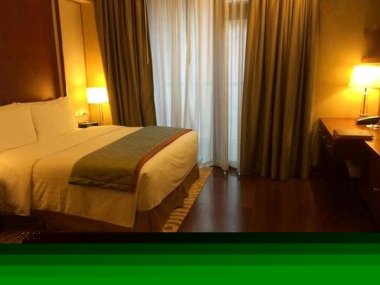 豪华一居室公寓