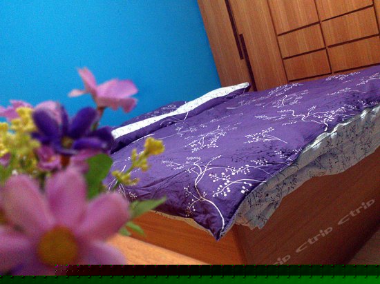 大床房（无窗）