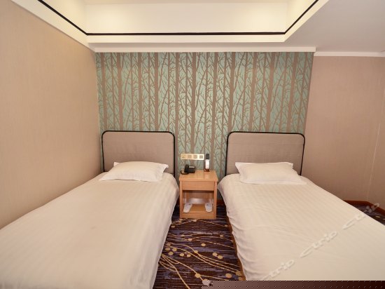 豪华标准间