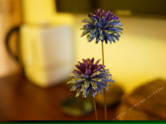 桃源精品大床房