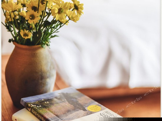 F102海景露台大床房