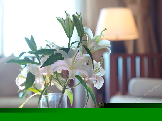 长天轩海景套房一室一厅