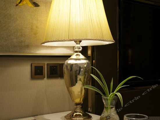 和颐特惠大床房