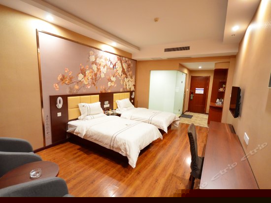 高级双床房