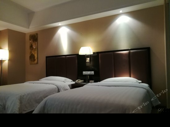 高级标准双床房