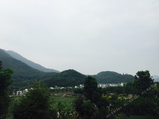 榻榻米花景家庭套房