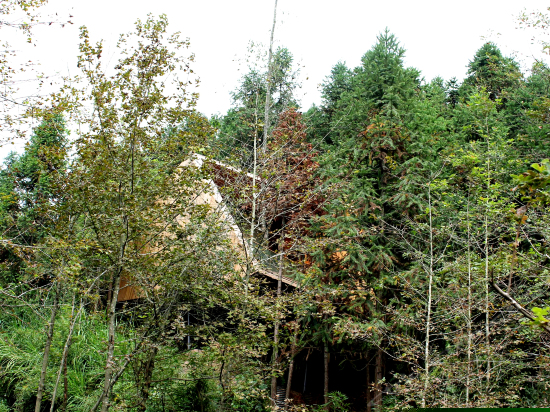 树屋世界望花筒