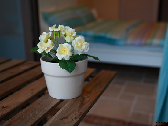 豪华日出内海景大床房