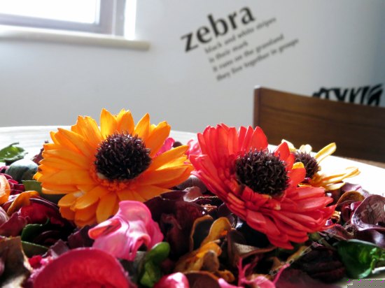 豪华观景双床套房