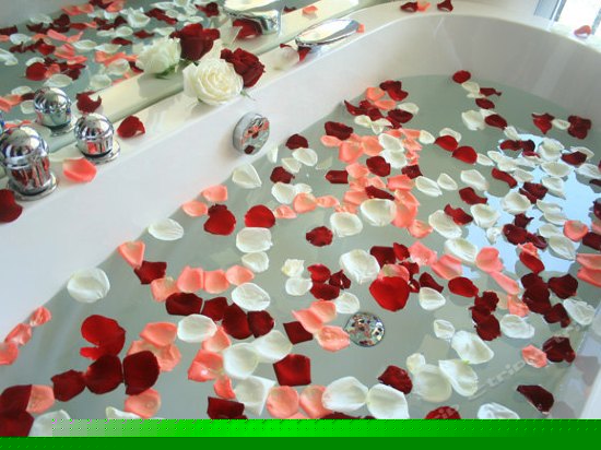 奢华海景蜜月套一房一厅