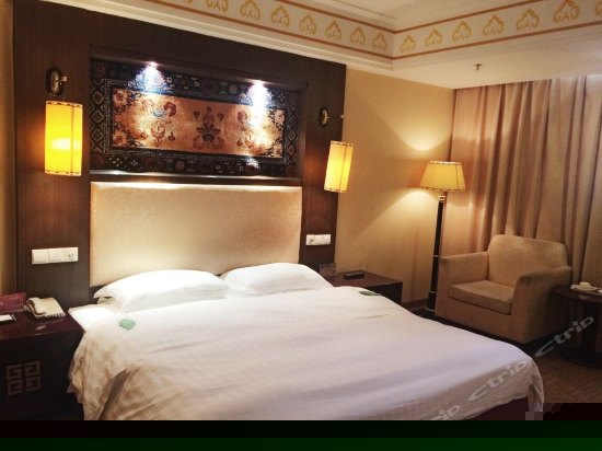 豪华单间(内宾)